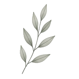 hoja